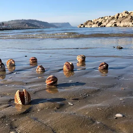 Le Nasse Apartment *