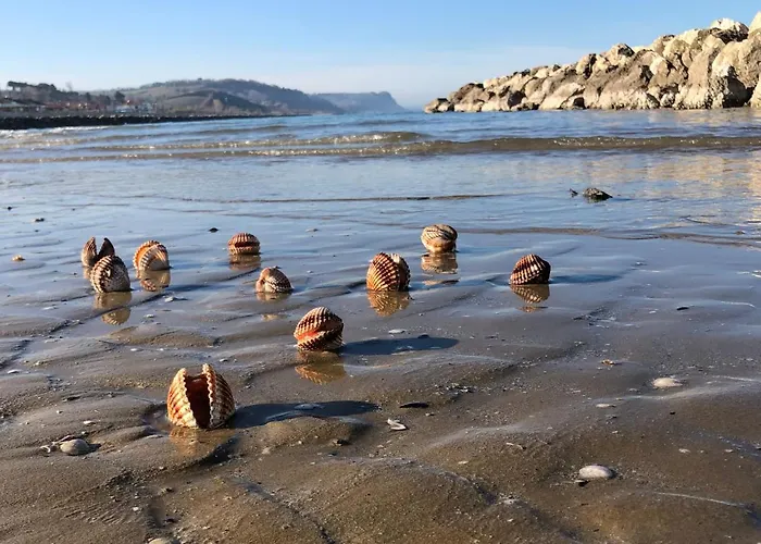 Le Nasse Apartment *